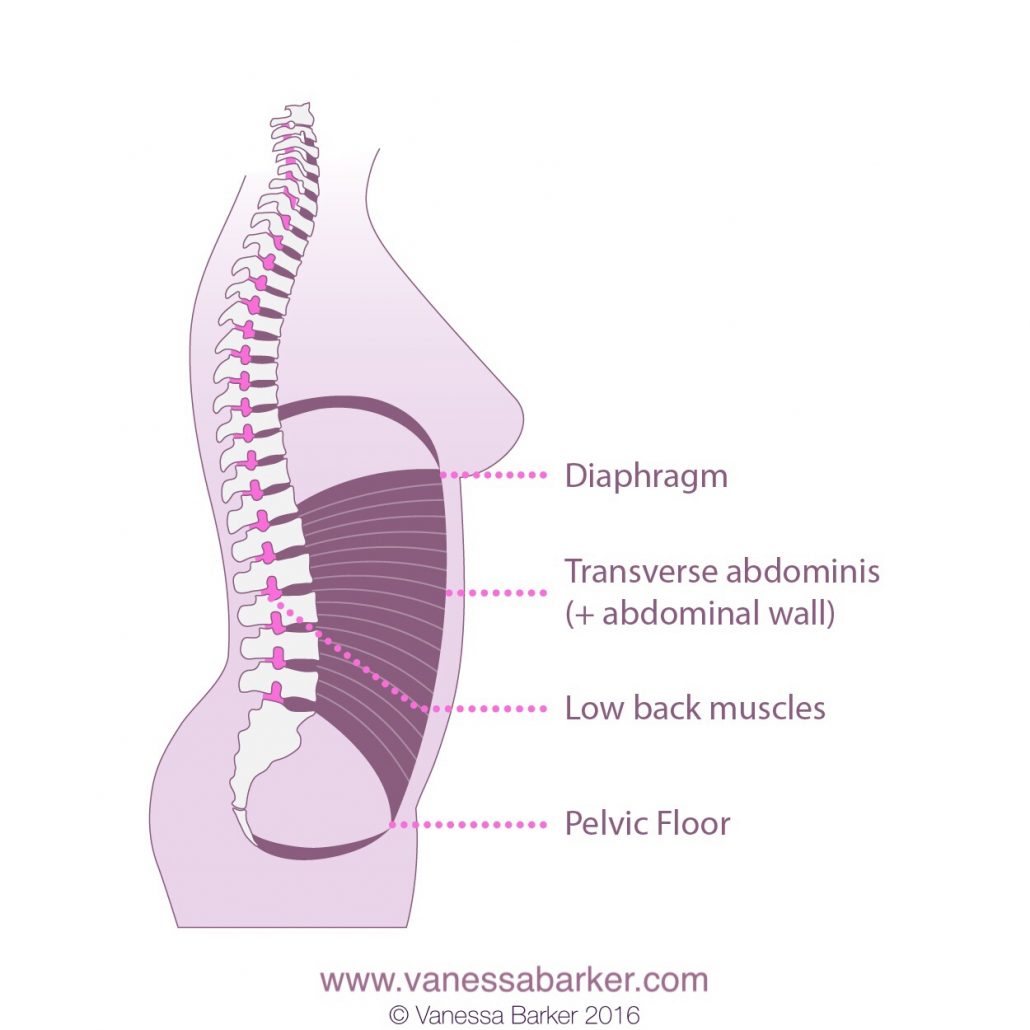 postnatal fitness