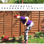 postnatal pregnancy circuits